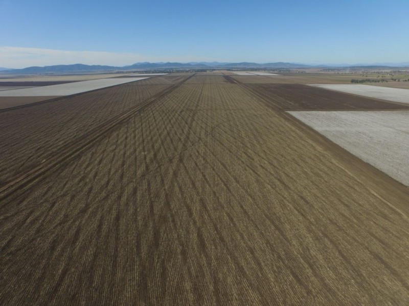 “Five Mile” & “Garrawan”, Breeza NSW 2381