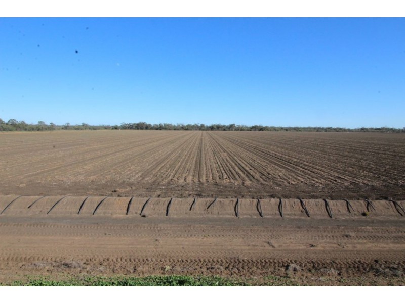 Part “Willowlee” Gingham Road, Moree NSW 2400