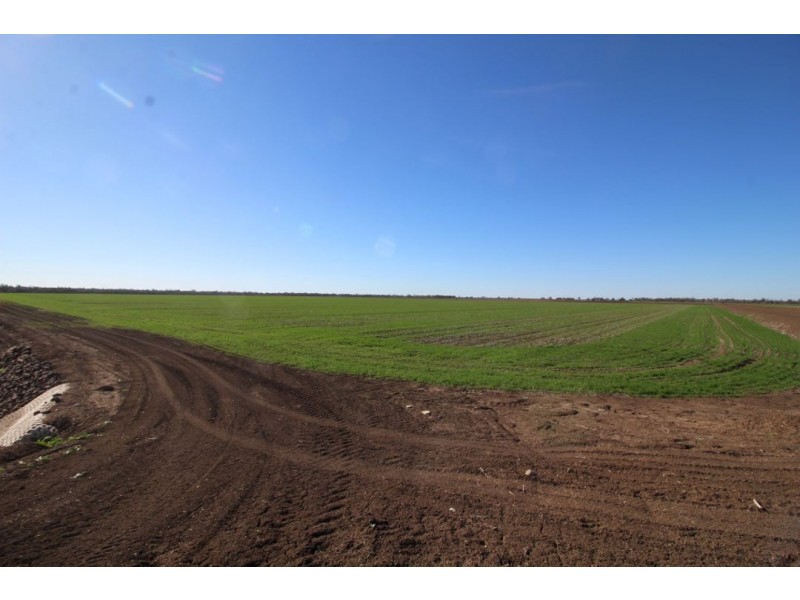 Part “Willowlee” Gingham Road, Moree NSW 2400