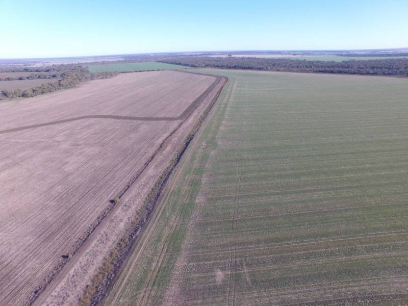 Part “Willowlee” Gingham Road, Moree NSW 2400