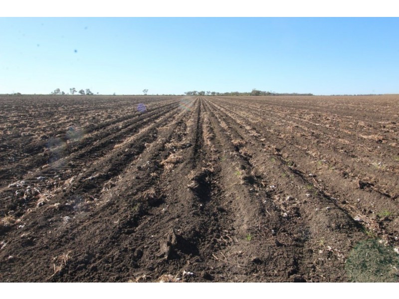 Part “Willowlee” Gingham Road, Moree NSW 2400