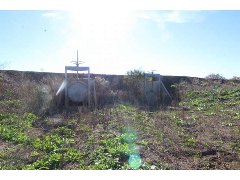 Part “Willowlee” Gingham Road, Moree NSW 2400