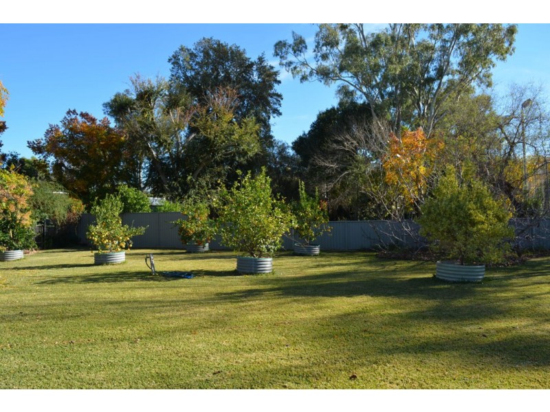 “HAWKS NEST” MUNGINDI ROAD, Moree NSW 2400