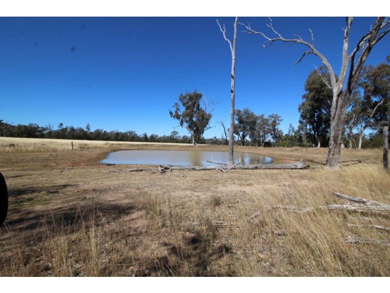 “Fairford” Fairford Road, Warialda NSW 2402
