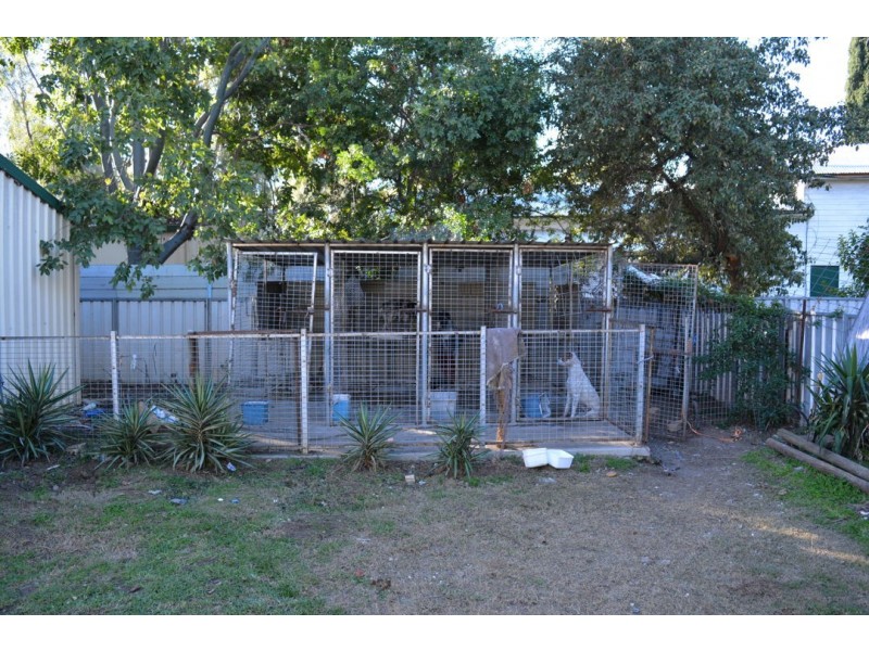 41 DRUMMOND STREET, Moree NSW 2400