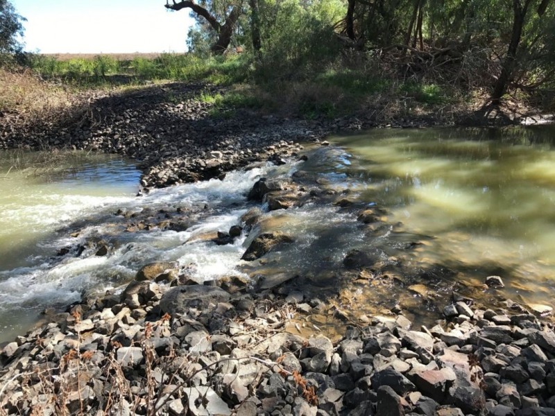 Riverbend Watercourse Road, Moree NSW 2400