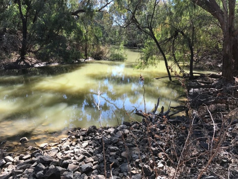 Riverbend Watercourse Road, Moree NSW 2400