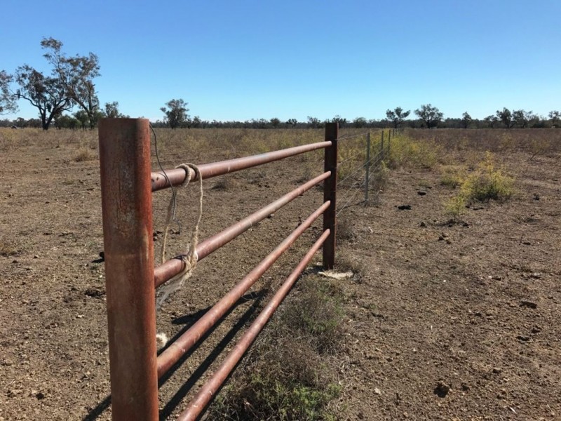 Riverbend Watercourse Road, Moree NSW 2400