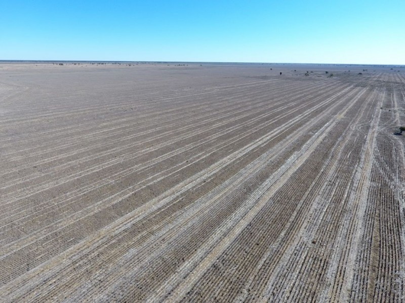 “Kia Ora”, Come By Chance NSW 2832