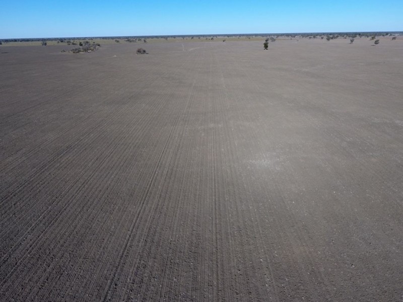 “Kia Ora”, Come By Chance NSW 2832