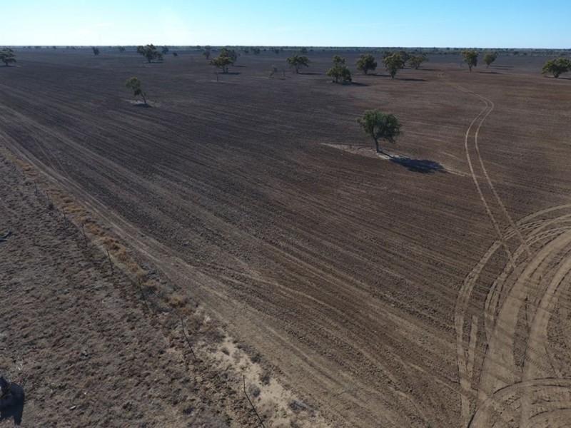 “Kia Ora”, Come By Chance NSW 2832