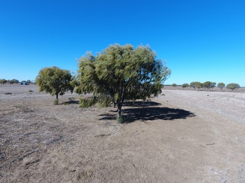 “Kia Ora”, Come By Chance NSW 2832