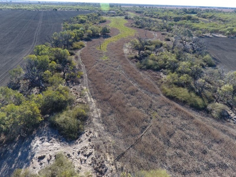 “Kia Ora”, Come By Chance NSW 2832