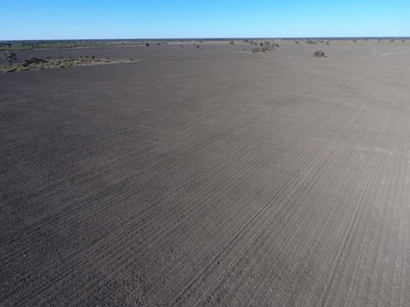 “Kia Ora”, Come By Chance NSW 2832