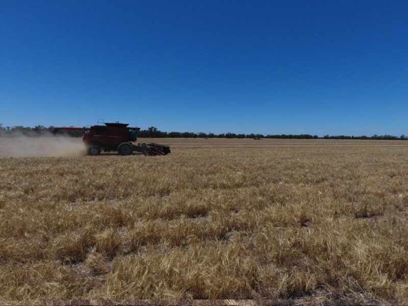 MUTTAMA, Coonamble NSW 2829