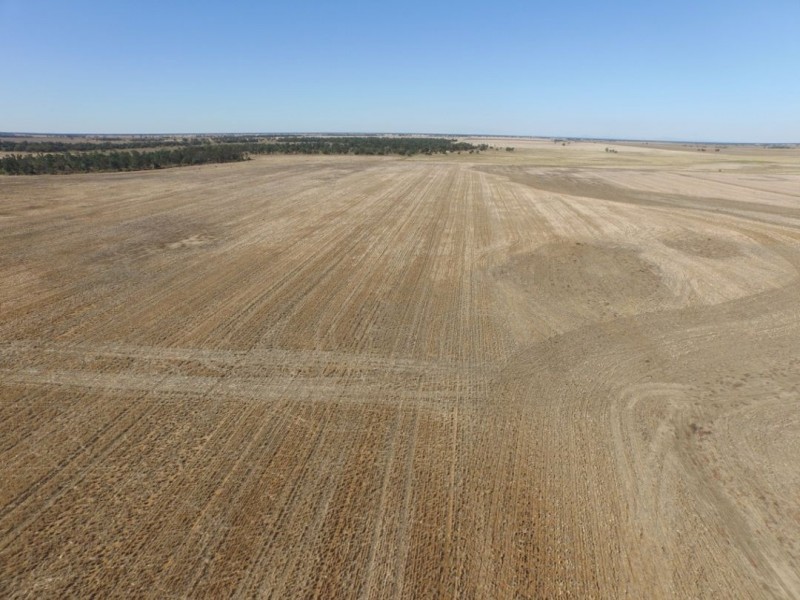 MUTTAMA, Coonamble NSW 2829