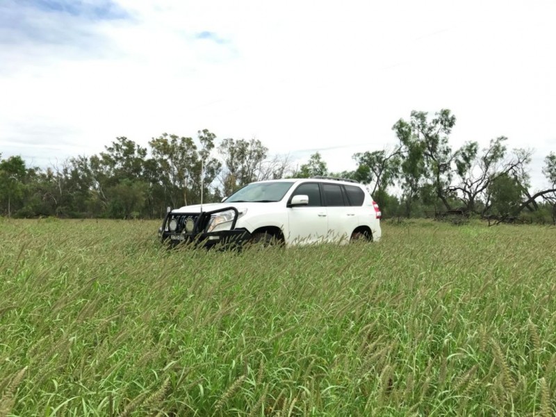 MUTTAMA, Coonamble NSW 2829