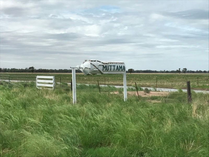 MUTTAMA, Coonamble NSW 2829