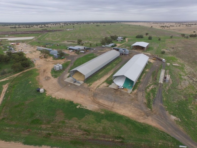 MUTTAMA, Coonamble NSW 2829