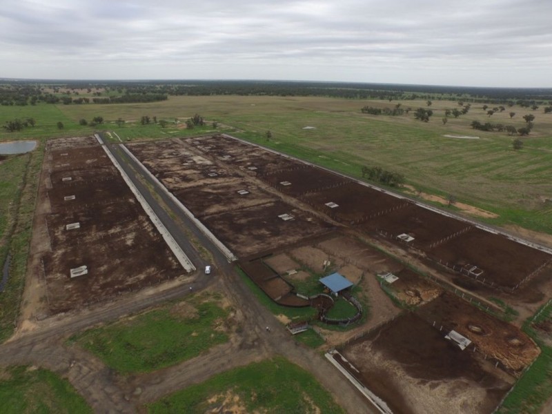 MUTTAMA, Coonamble NSW 2829