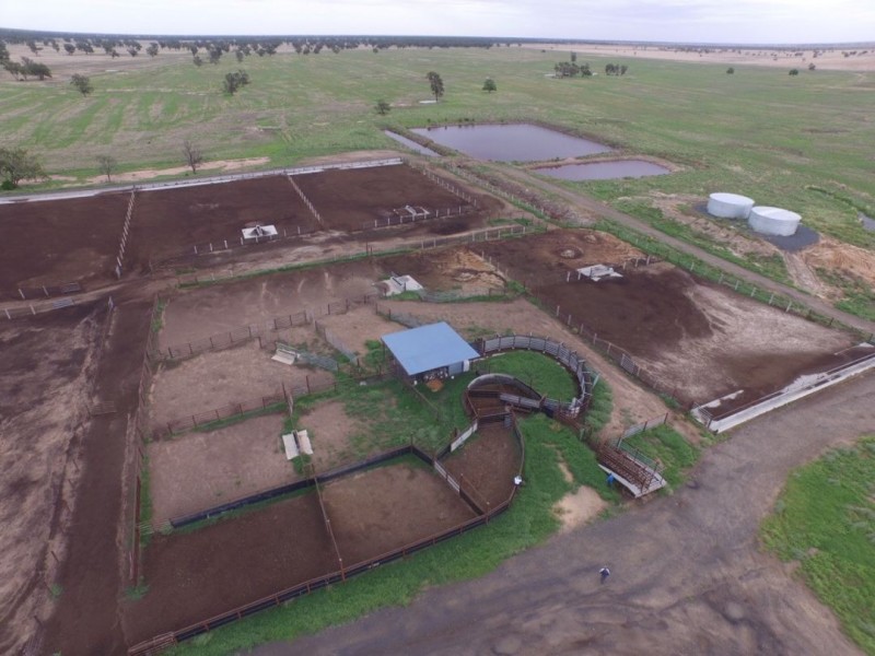 MUTTAMA, Coonamble NSW 2829