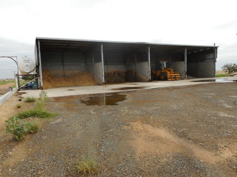 MUTTAMA, Coonamble NSW 2829