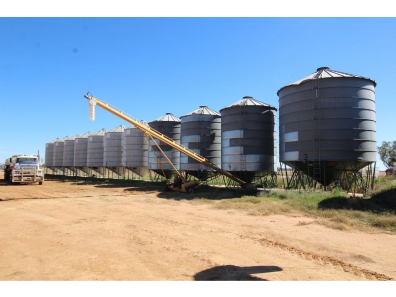 MUTTAMA, Coonamble NSW 2829