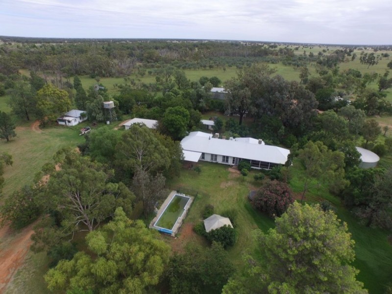 MUTTAMA, Coonamble NSW 2829