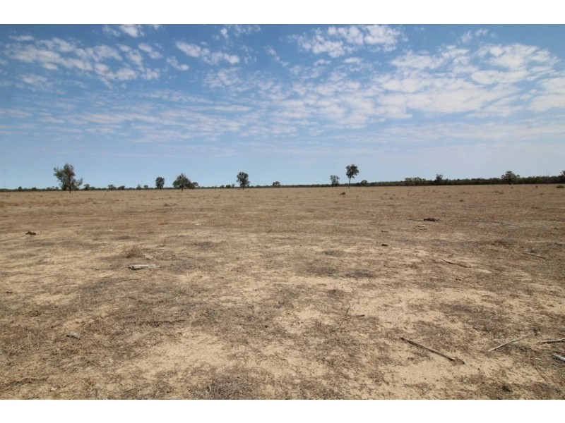 “Myallawa” Gungalman Road, Walgett NSW 2832