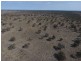 “Myallawa” Gungalman Road, Walgett NSW 2832