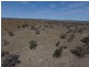 “Myallawa” Gungalman Road, Walgett NSW 2832