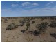 “Myallawa” Gungalman Road, Walgett NSW 2832