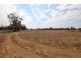 “Myallawa” Gungalman Road, Walgett NSW 2832