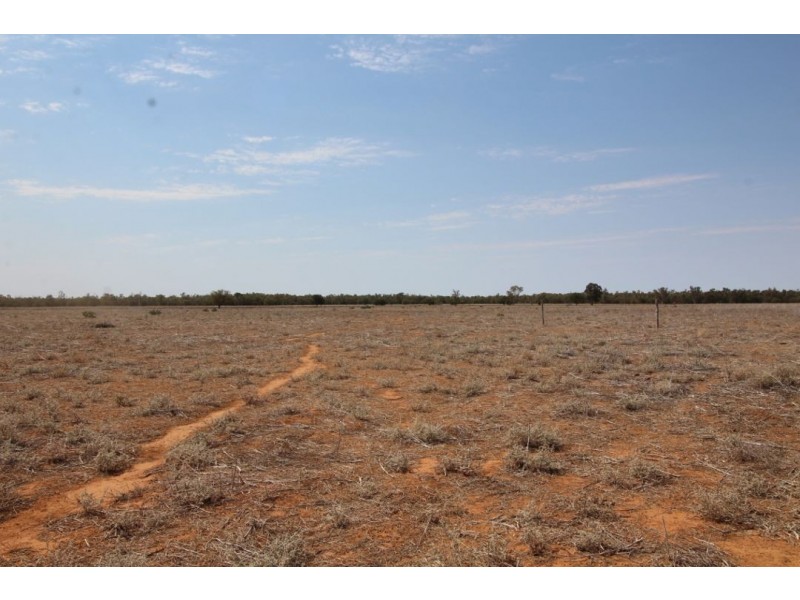 “Myallawa” Gungalman Road, Walgett NSW 2832