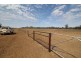 “Myallawa” Gungalman Road, Walgett NSW 2832