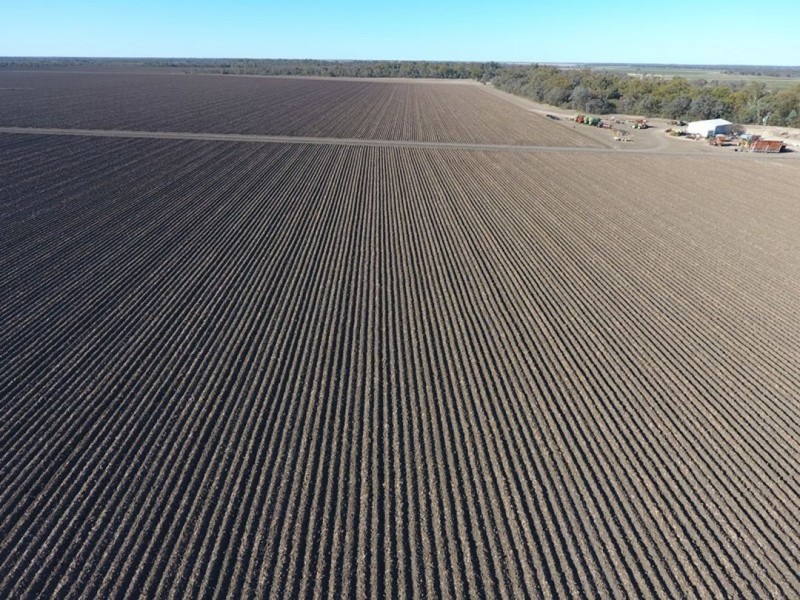 Pt Ridgeview Weir Road, Mungindi NSW 2406