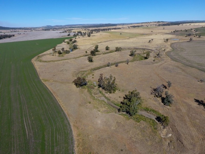 “Larrgahill” & “Wyreema”, Warialda NSW 2402
