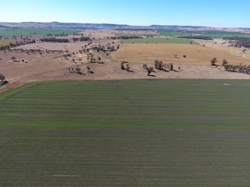 “Larrgahill” & “Wyreema”, Warialda NSW 2402