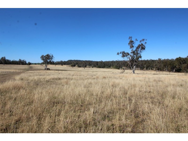 “Larrgahill” & “Wyreema”, Warialda NSW 2402