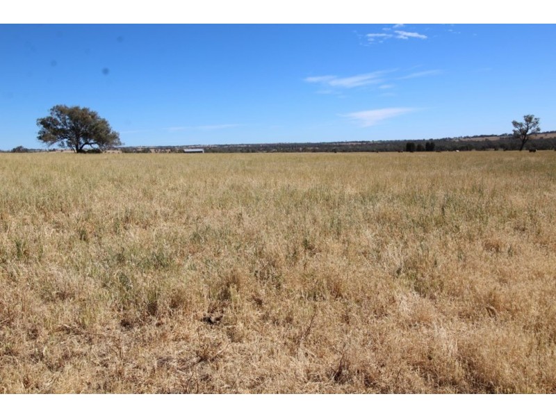 “Larrgahill” & “Wyreema”, Warialda NSW 2402