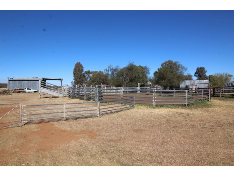 “Larrgahill” & “Wyreema”, Warialda NSW 2402