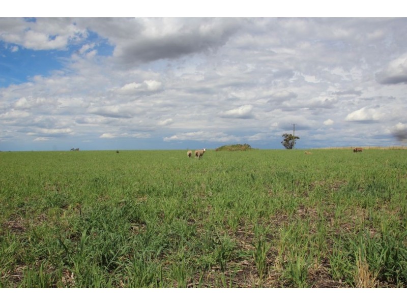 “Waverly Downs” Glenesk Road, Delungra NSW 2403