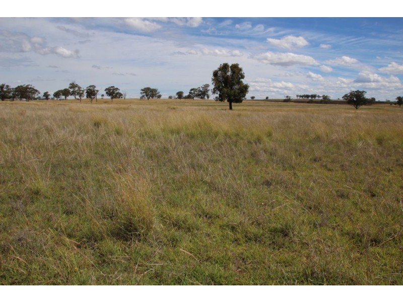 “Waverly Downs” Glenesk Road, Delungra NSW 2403