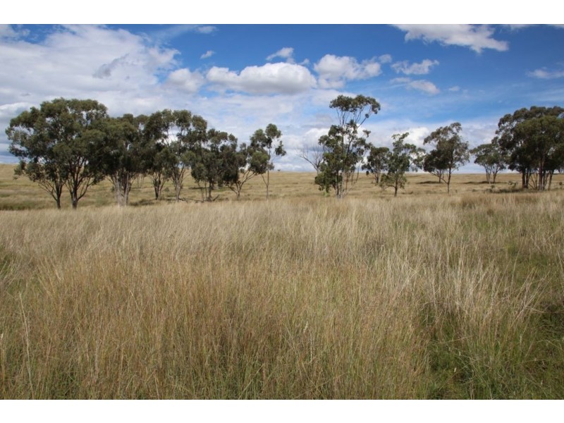 “Waverly Downs” Glenesk Road, Delungra NSW 2403