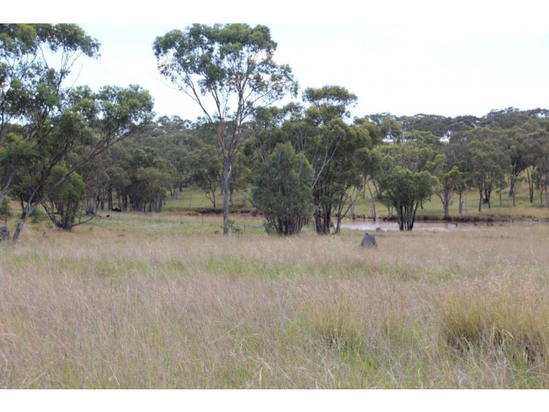“Waverly Downs” Glenesk Road, Delungra NSW 2403