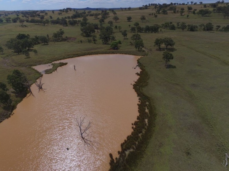 “Waverly Downs” Glenesk Road, Delungra NSW 2403