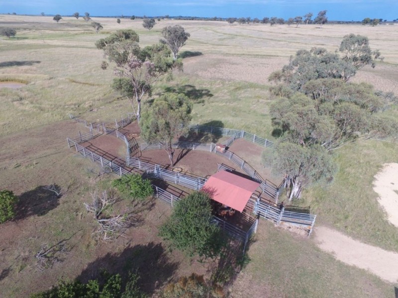 “Waverly Downs” Glenesk Road, Delungra NSW 2403