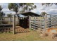 “Waverly Downs” Glenesk Road, Delungra NSW 2403