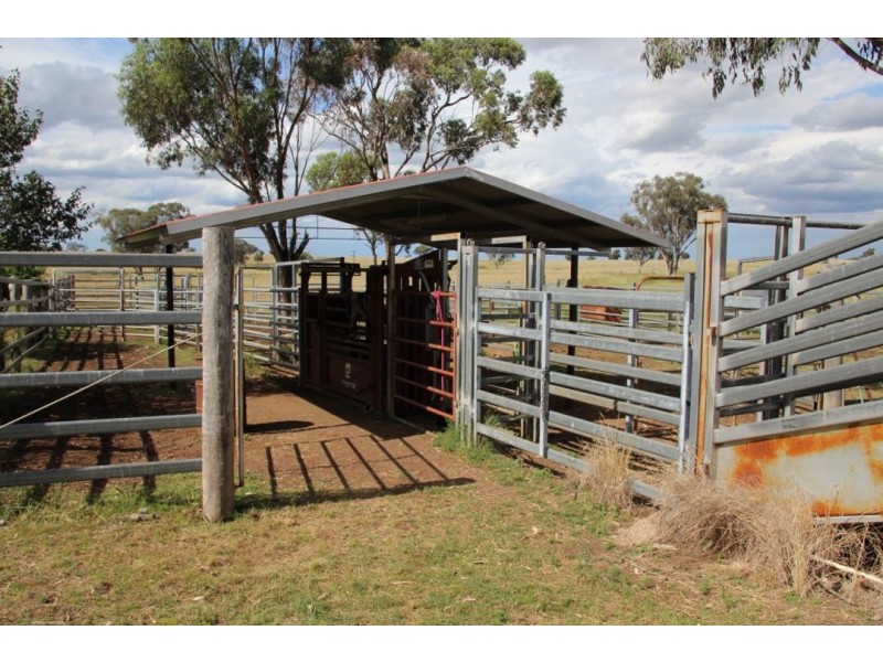 “Waverly Downs” Glenesk Road, Delungra NSW 2403