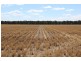 “Bellevue Aggregation”, Mallowa NSW 2400